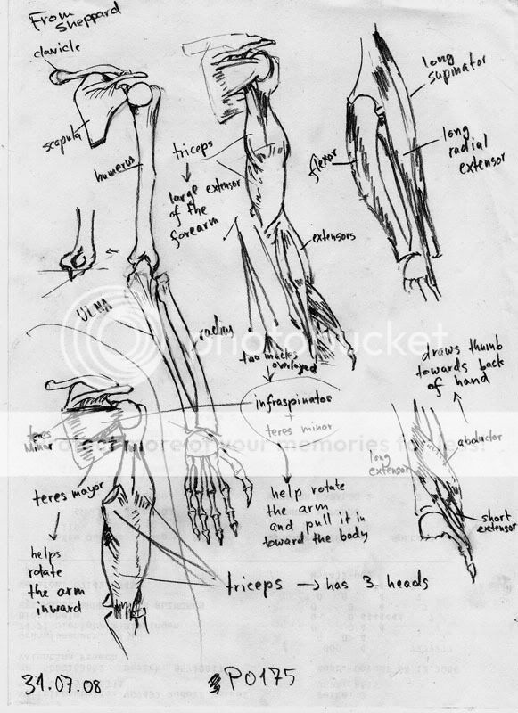 Of everything and nothing (some nudity) Of everything and nothing (some nudity)
