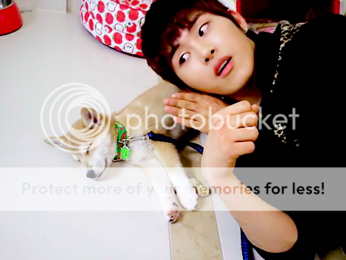 DaebakFinite