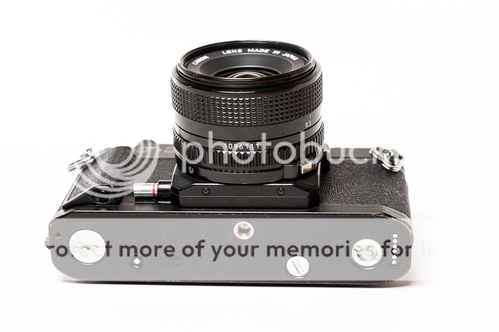 IMAGE: http://i333.photobucket.com/albums/m386/lylekran/0D0A7290.jpg