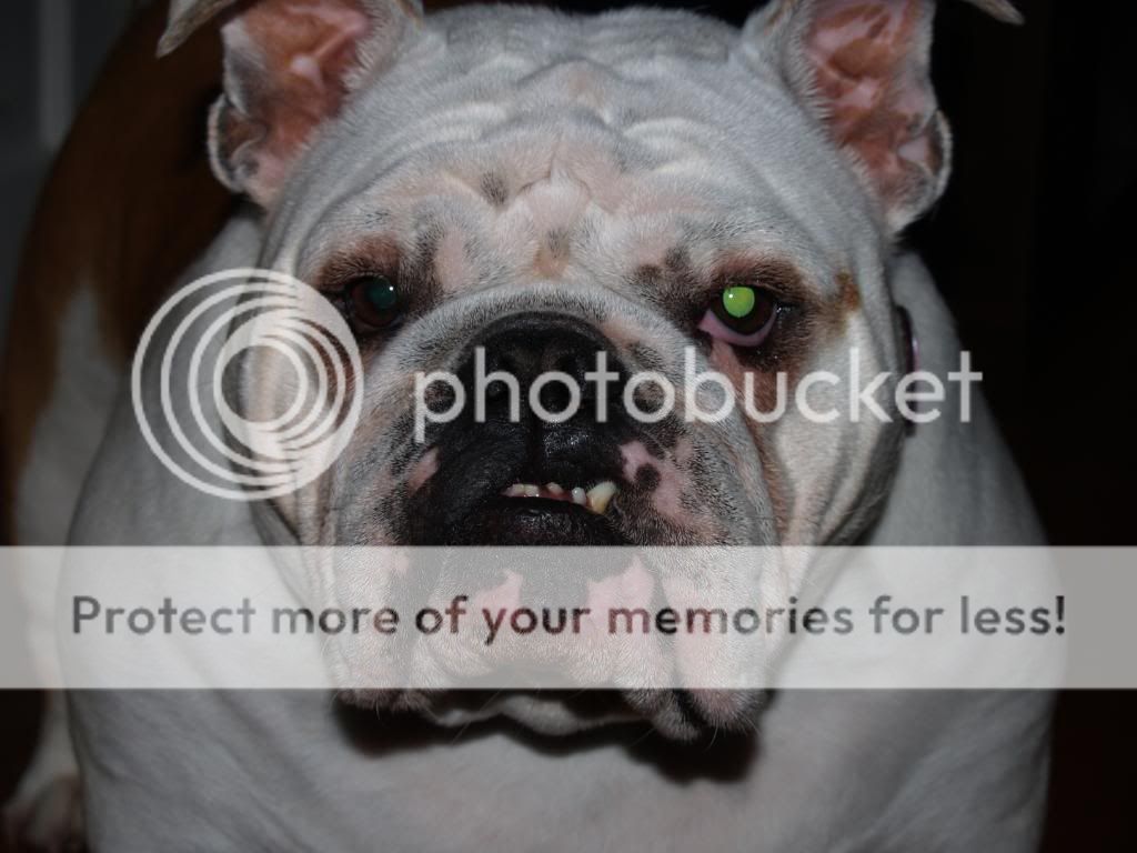 [linked image]