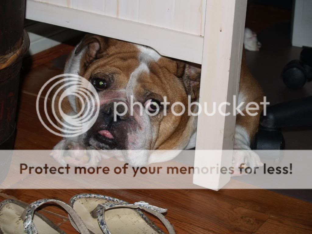 [linked image]