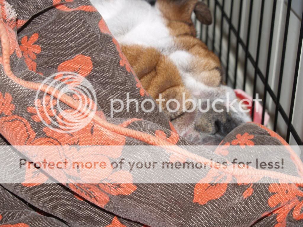 [linked image]