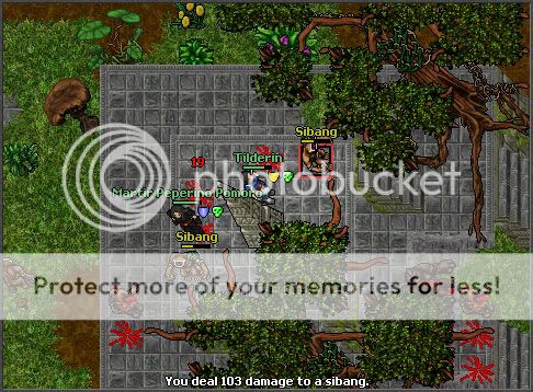 HACKER EN TIBIA hacker en tibia: