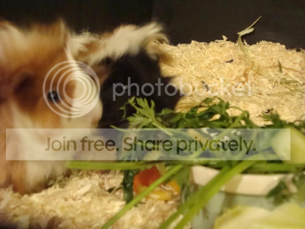 DSC01721.jpg
