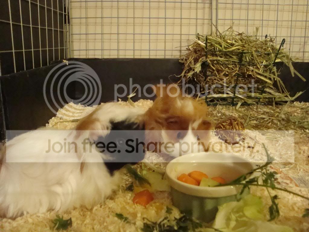 DSC01735.jpg